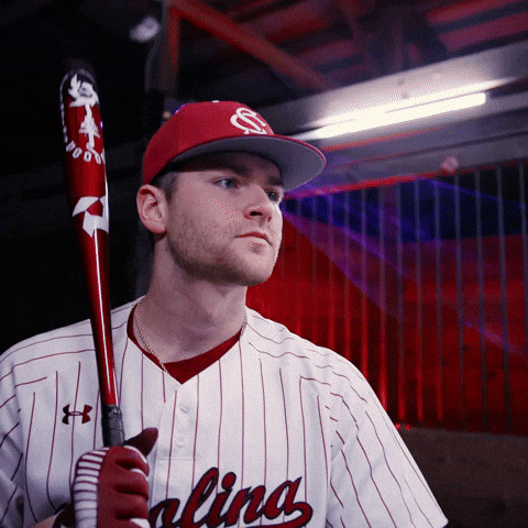 Home Run Celebration GIF by Gamecock Athletics