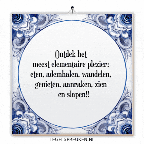 Humor Nl GIF by Tegelspreuken.nl