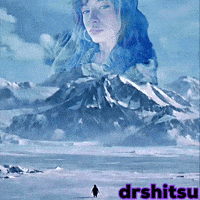 Penguen GIF