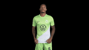 Happy Sport GIF by VfL Wolfsburg
