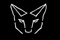 Linzearte linze arte GIF