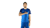 Football Wolf Sticker by TuS Sommerkahl