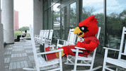 Relaxing Big Red GIF by Lamar University