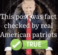 Fact Check GIF