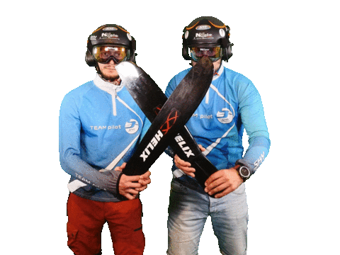 Wings Itv Sticker by Slinger Beplatingssystemen