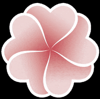 Kamaroogr kamaroogr kamaroo kamarooaddict GIF