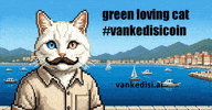 Cat Loving GIF by vankedisi