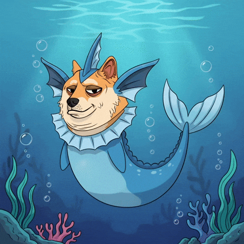 Shiba Inu Swimming GIF by Doge Pound
