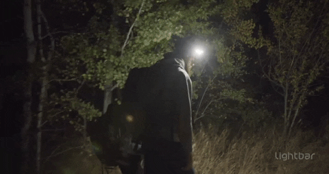 thealphjay giphyupload GIF