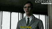gotham GIF by Fox TV