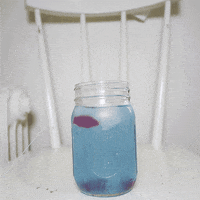 water fish GIF by tarninabarn