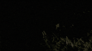 Blair Witch Pizza GIF by Speedy Ortiz