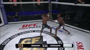 Ufc Champion GIF by Jackson Wink MMA Academy