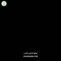 Peace Faith GIF by VeganArabs