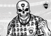 Bfr Torcida Jovem Botafogo GIF