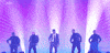 eurovision GIF by vrt