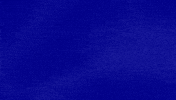 Bussin Zoomer GIF by Jeopardy!