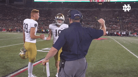 Notre Dame Football Celebration GIF by Notre Dame Fighting Irish