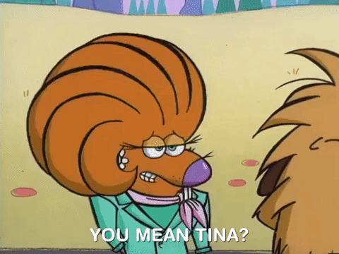 nickrewind giphydvr nicksplat angry beavers giphyab017 GIF