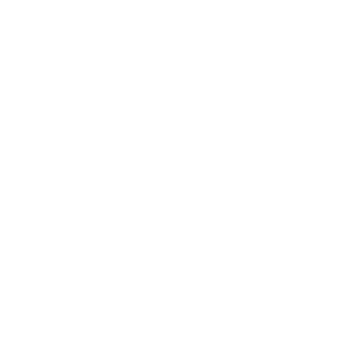 Prowrap wrapping ppf car detailing car wrapping Sticker