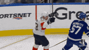 Happy Stanley Cup Playoffs GIF by NHL