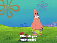season 4 GIF by SpongeBob SquarePants