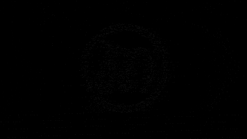 sao paulo hustlegang GIF by MURK CO.