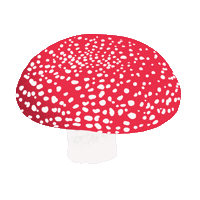 Mushroom Sticker