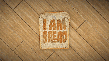 i am bread free gluten GIF by Digg