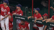 Celebration Baseball GIF by Cincinnati Reds