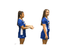 College Sports Dance Sticker by Delaware Blue Hens