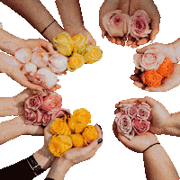 zaskoczmame warsztaty zaskocz mame zaskoczmame warsztaty zaskocz mame Sticker