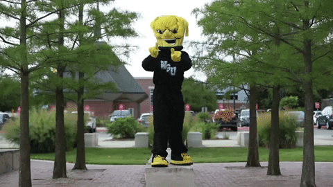 Wu_Shock giphyupload wsu wu wushock GIF