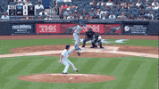 Jomboy  GIF