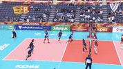 Happy Power GIF by Volleyball World