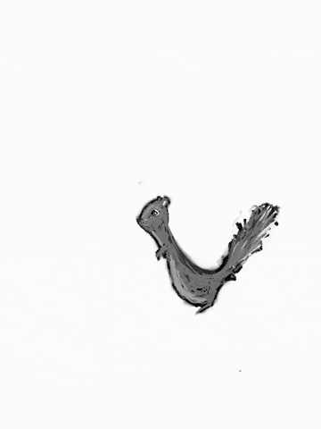 Illustrated gif. A pen and ink squirrel runs into frame does a flip and a pirouette then runs away.