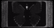 Inside Out Butterfly GIF by Century Media Records