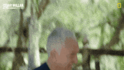 Dogwhisperer GIF by National Geographic Channel