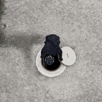 Drain Explorar GIF