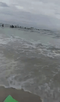 Dramatic Video Shows Strangers Form 'Human Chain' to Save Family Trapped in Rip Tide