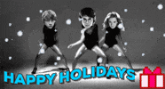 Harry Potter Happy Holidays GIF by emibob