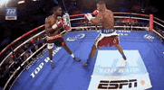toprank fight boxing fighting espn GIF