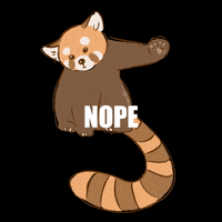 Miyzzzz cat animal nope oops GIF