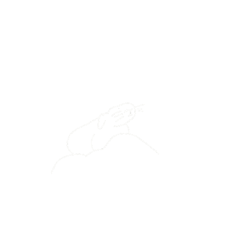 kamirice_illustration giphyupload new newpost rabbit Sticker