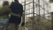 Couple Kiss GIF by Stad Genk