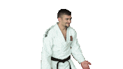 Fight Swipe Up Sticker by Czech judo