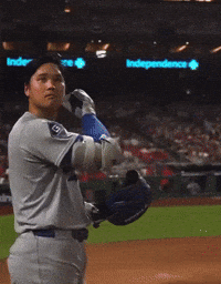 Home Run Baseball GIF