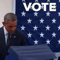 Voting Barack Obama GIF by Markpain