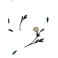 LeQuartierAnime flowers 2danimation animatedillustration hellfest2022 Sticker