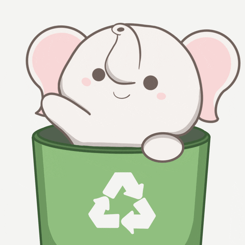 untamedelephants happy cute hello hi GIF